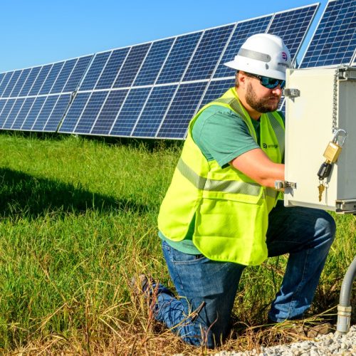 Sunflower-Solar-worker